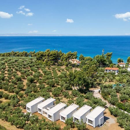 Olea Villas By Halu!, Cozy Villa In Nikiti ラゴマンドラ エクステリア 写真