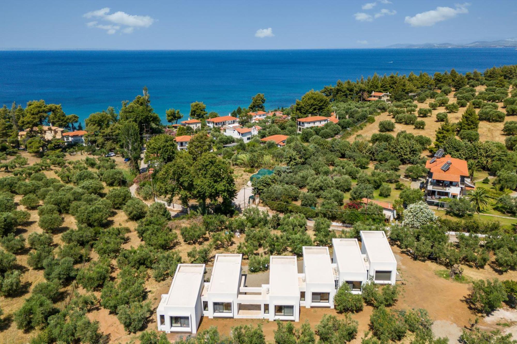 Olea Villas By Halu!, Cozy Villa In Nikiti ラゴマンドラ エクステリア 写真